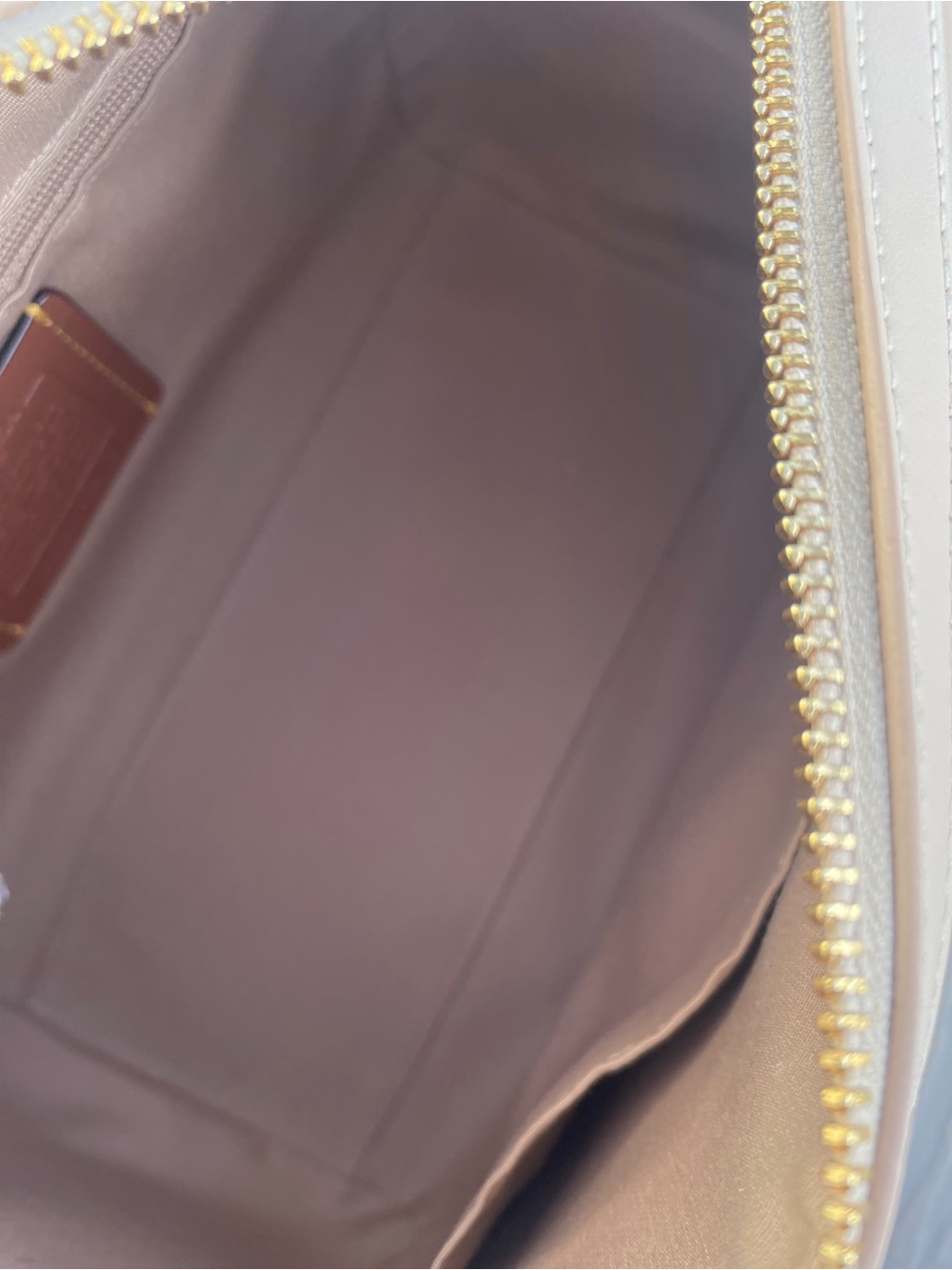 Coach Medium Signature Sketch Ivory Rowen - Picture 9 of 9